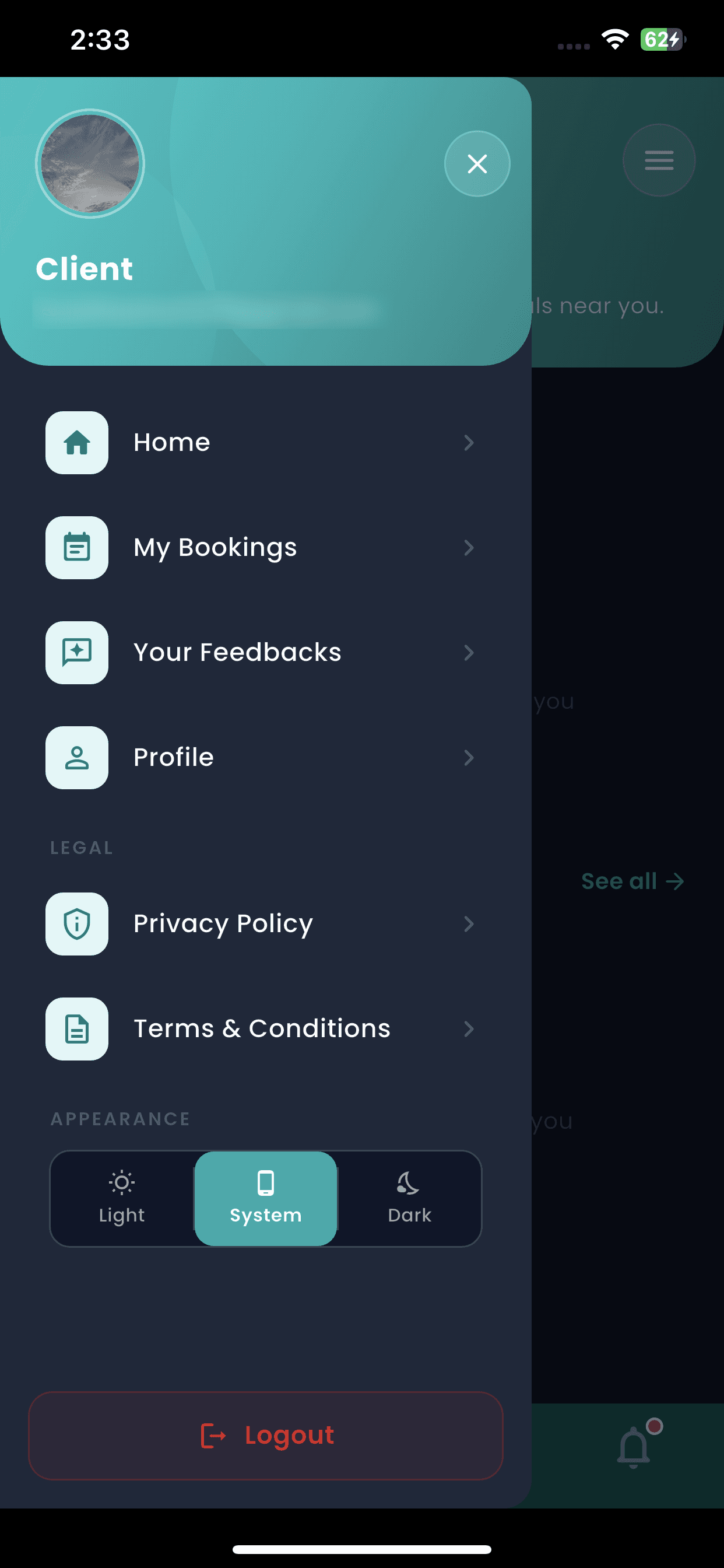 Client menu — bookings, feedback, profile and theme